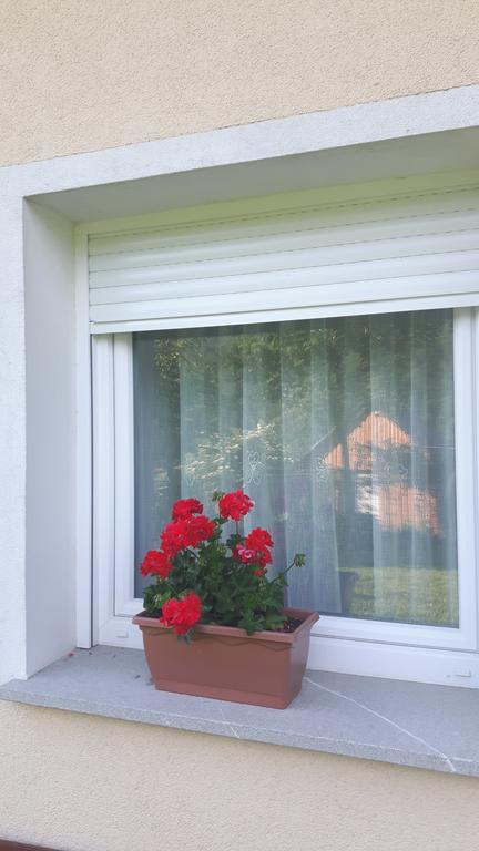 Apartments Petrin Tolmin Εξωτερικό φωτογραφία